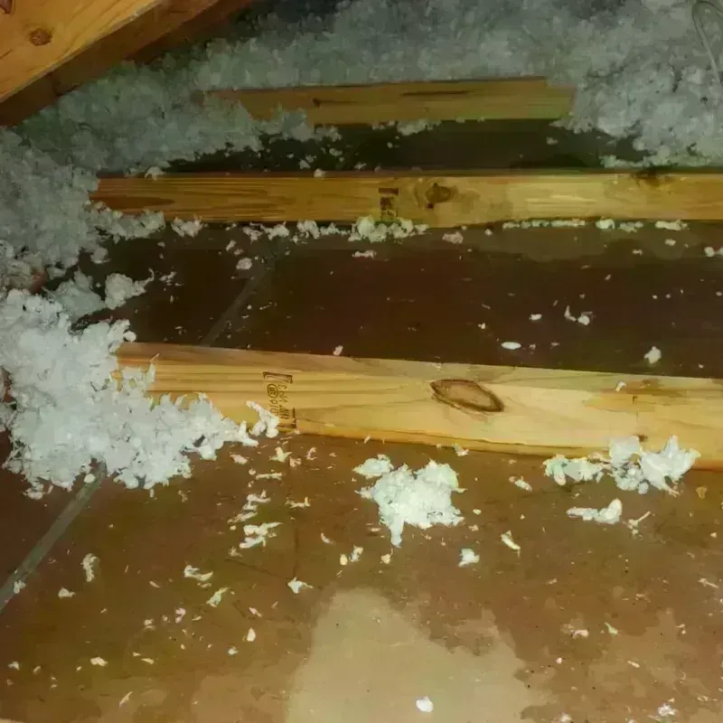 Attic Water Damage in Howe, TX