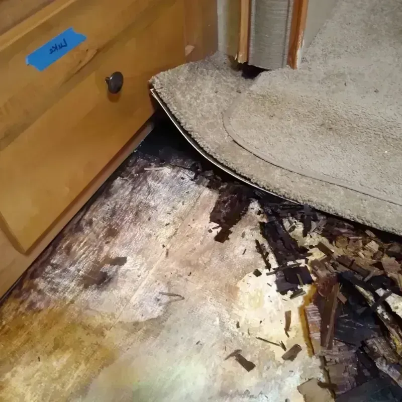 Wood Floor Water Damage in Howe, TX